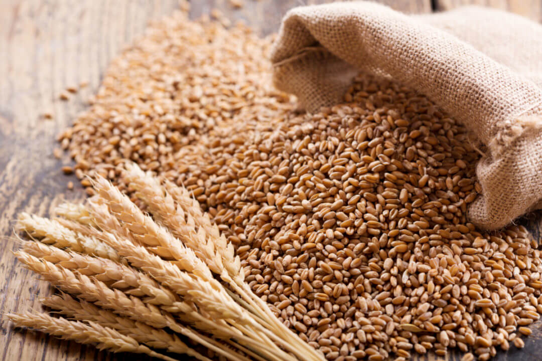 Govt Issues New Tender to Buy 400,000 tn Wheat